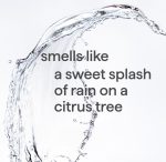 gel hand wash – sweet water, 12 fl oz - Image 4