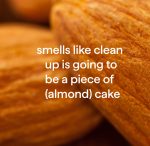 squirt + mop hardwood floor cleaner refill – almond, 68 fl oz - Image 4