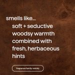 body wash – sandalwood + vetiver, 28 fl oz - Image 4
