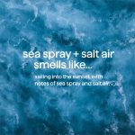 body + hair mist – sea spray + salt air, 8 fl oz - Image 5
